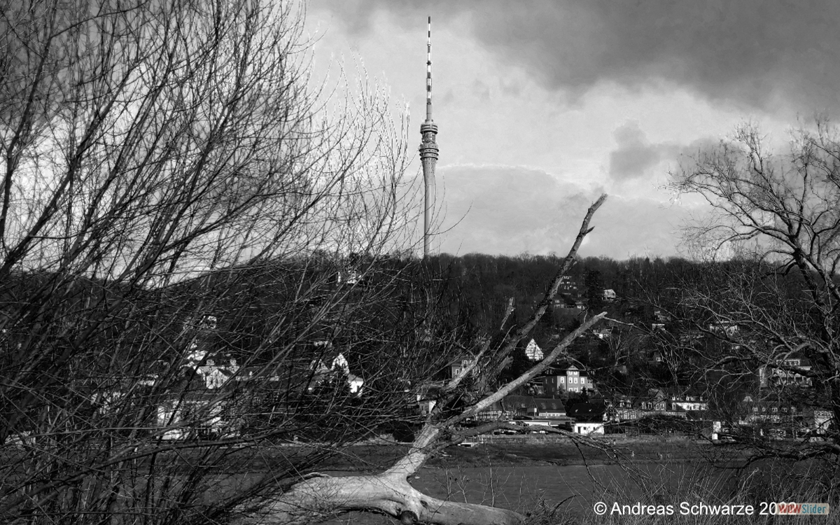 Laubegaster Ufer und Fernsehturm