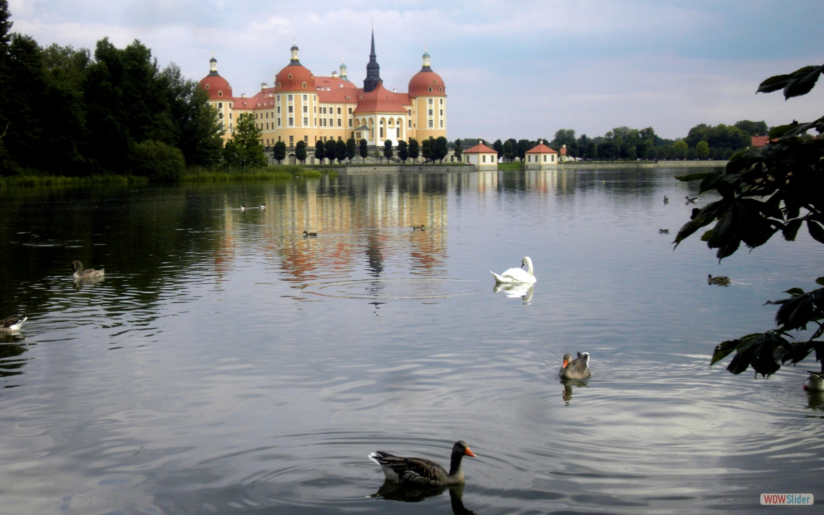 Moritzburg bei Dresden 4