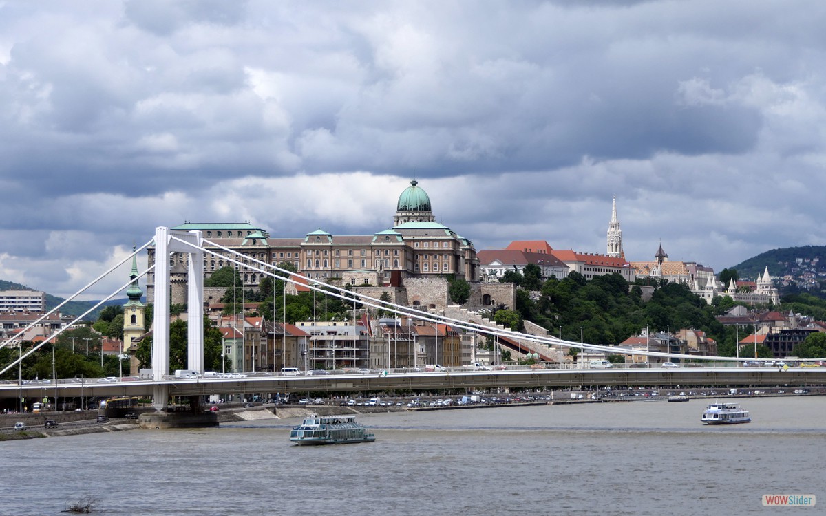 Panorama mit Elisabethbrücke